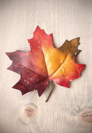 Autumn leaf on top of a wooden backgroundの写真素材