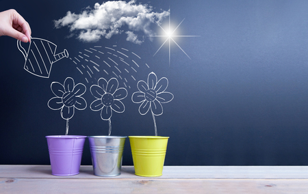 Drawing of spring daisies being watered over a chalkboard with spaceの写真素材