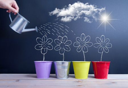 Chalkboard sketch of spring daisies inside flower pots being wateredの写真素材