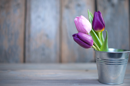 Spring tulips in a pot over a wooden background with spaceの写真素材