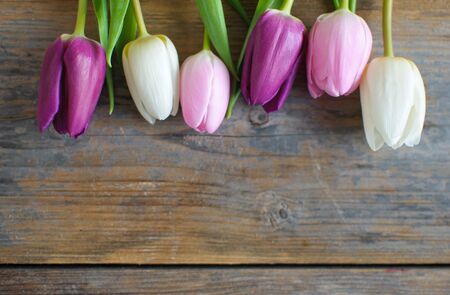 Spring tulips on a wooden background with spaceの写真素材