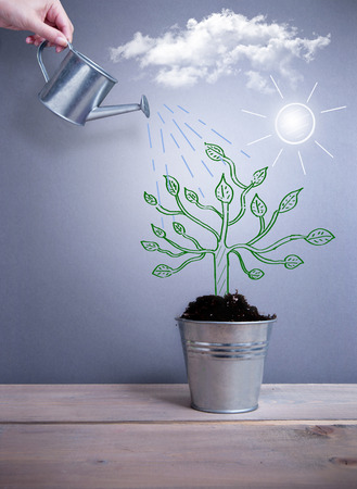Tree growth conceptの写真素材