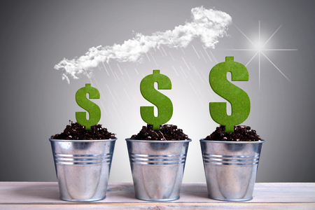 Different phases of dollar plant growth with rain falling from an arrow made of clouds hovering aboveの写真素材