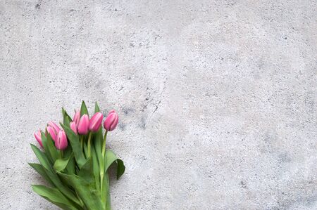 Pink tulips on shabby concrete backdropの写真素材