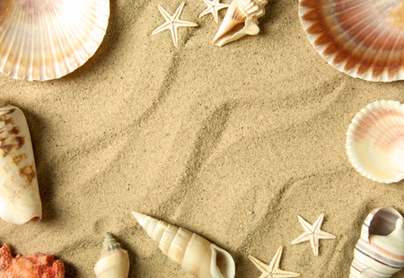 Sea shells border on beach sandの写真素材