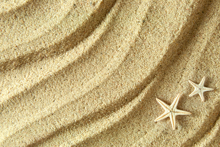 Starfish on beach sand backgroundの写真素材