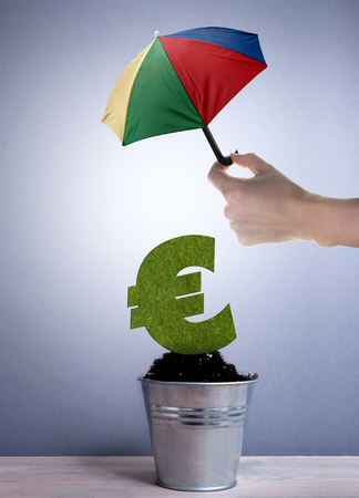 Euro plant growing in a pot protected with an umbrellaの写真素材
