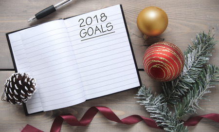 2018 goalsの写真素材