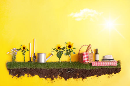 Summer picnic basket on grass patch with sunflowersの写真素材