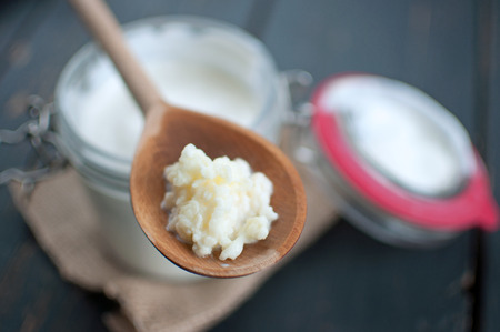 Kefir grains closeup on a wooden spoonの写真素材