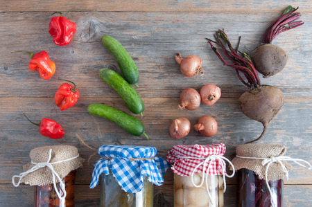 Naturally fermented ingredients conserved in jarsの写真素材