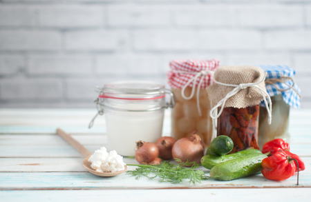 Naturally fermented foods in jars including kefir, gherkins and peppers and onionsの写真素材