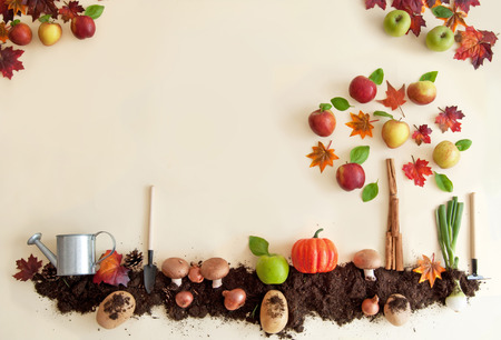 Autumn fruits growing in soil patch with apple treeの写真素材