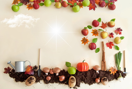 Autumn fruit garden backgroundの写真素材