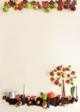 Autumn fruits growing in soil patch with apple tree and orchardの写真素材