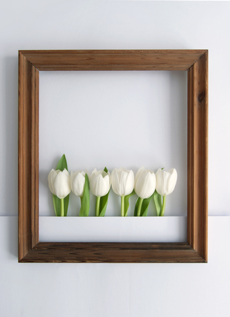 Wooden frame around white spring tulips with spaceの写真素材