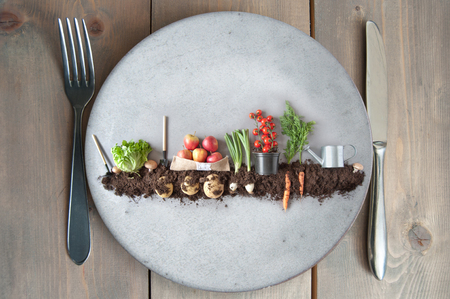 Organic fruits and vegetables growing in earth on a kitchen plate の写真素材