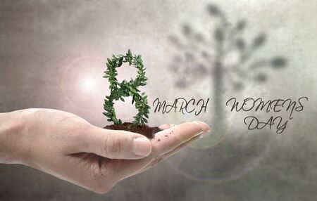 Figure 8 plant representing womens day in March, held in a hand with a tree shadowの写真素材