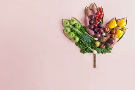 Autumn seasonal fruits and vegetables in the shape of a maple leafの写真素材