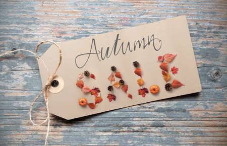 Autumn sale on a shopping label partly spelt with seasonal leaves, pine cones and pumpkin
