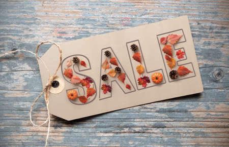 Autumn sale shopping banner spelt with seasonal leaves, pine cones and pumpkinの写真素材