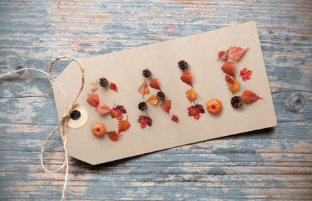 Autumn sale shopping banner spelt with seasonal leaves, pine cones and pumpkinの写真素材