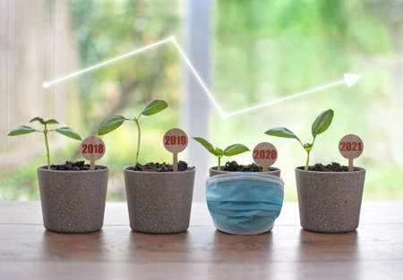 Business recovery concept, four seedling pots labeled 2018 to 2021 with a facemask around 2020の写真素材