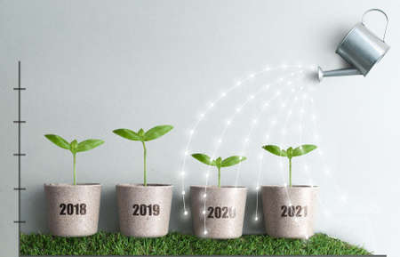 Year by year business growth comparison concept from 2018 to 2021, new seedlings in plant pots being watered with streams of lightの写真素材