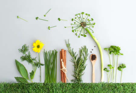 Seasonal summer herb salad ingredients and dandelion flower made from chives, parsley and spring onionsの写真素材