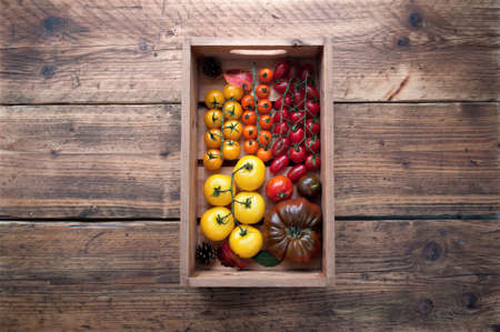 Wooden box with colourful selection of tomatoes, assorted varieties including borange, monterosa and heriloomの写真素材