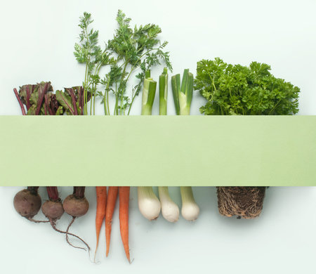 Vegetable roots and herbs underneath paper card with copy spaceの写真素材