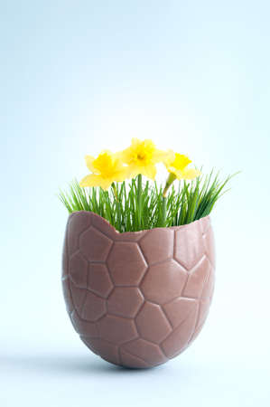Open chocolate easter egg with spring daffodilsの写真素材