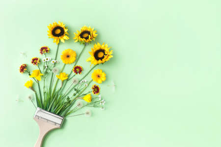 Spring to summer growth cycle paint brush concept, with dandelions, daisies and summer sunflowersの写真素材