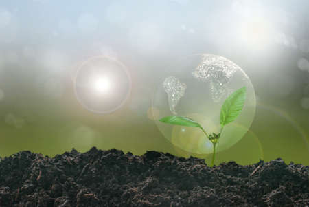 Seedling inside the earth with satellite view, growth, renewable, energy resources conceptの写真素材