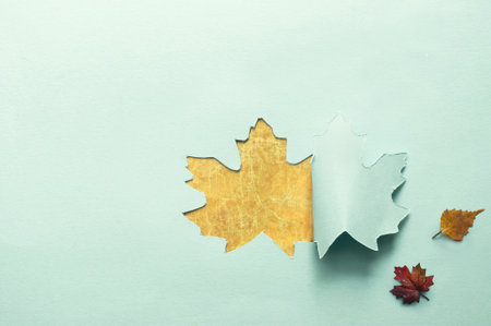 Autumn leaf green paper revealing seasonal colours underneath, respresenting the change of seasonsの写真素材