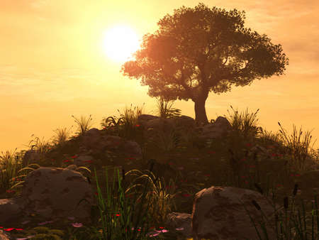 3D Render - Landscape - Sunset Hillの写真素材