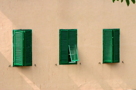 Three bright green shutters on a flat, plain buildingの写真素材