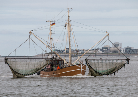 fish cutterの写真素材