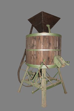 old wine pressの写真素材