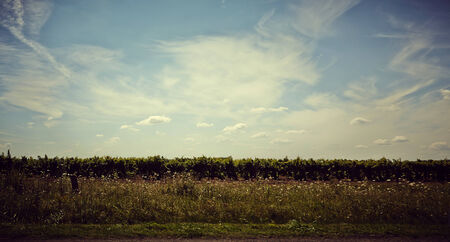 Image of a Landscape, works perfect For agricultural matters.の写真素材