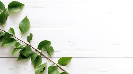 Green leaves on white wooden background. Flat lay, top view.の写真素材