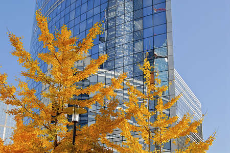 business buildingの写真素材