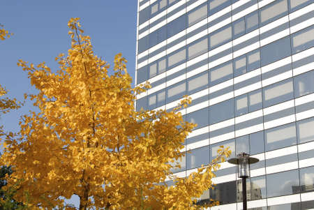 modern architectureの写真素材