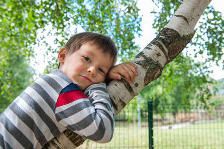 portrait of a child boy leaning on a treeの写真素材