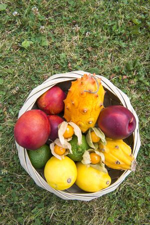 Fruit in Wooden Basket, in the gardenの写真素材