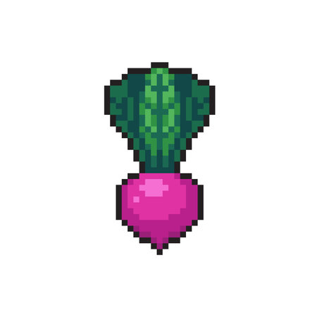 Pixel art radish isolated on white background. 8 bit vegetable icon.のイラスト素材