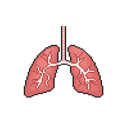 Lungs in pixel art style isolated on white background. Vector illustration.のイラスト素材