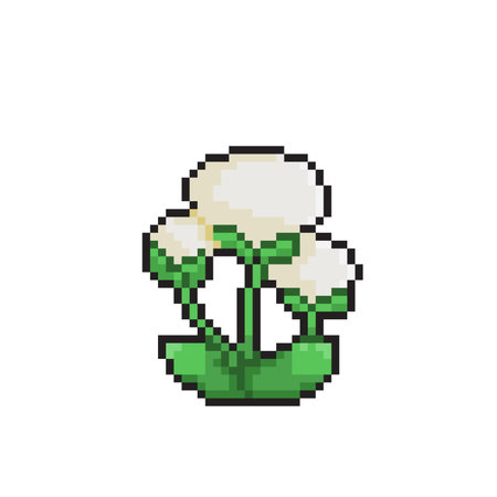 Cotton flower pixel art icon. Isolated on white background.のイラスト素材
