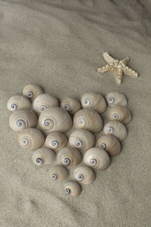 Schneckenherz mit Seestern am Sandstrand