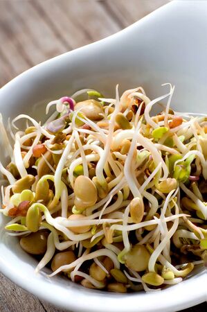 Delicious sprouts in a porcelain dishの写真素材